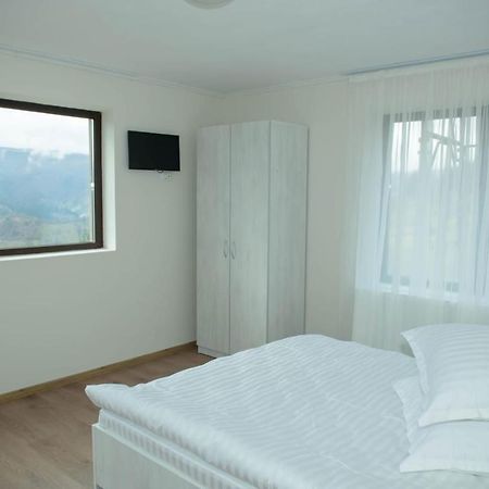 Vila Zorilor Dîmbovicioara Extérieur photo