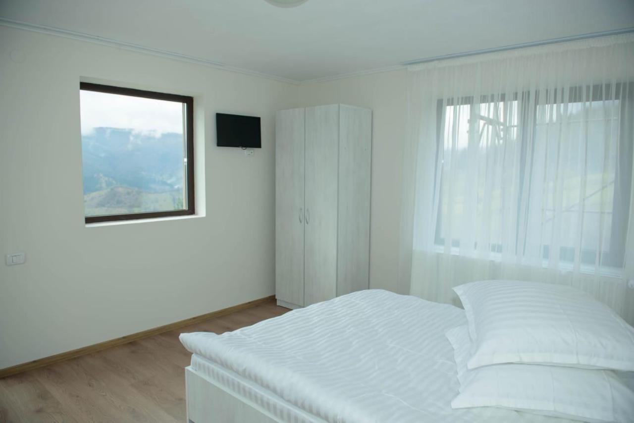 Vila Zorilor Dîmbovicioara Extérieur photo